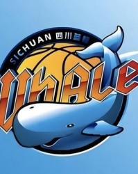 MK体育app下载-暂时获救！四川男篮质押股权向省篮协借款偿还球员欠薪和本赛季运